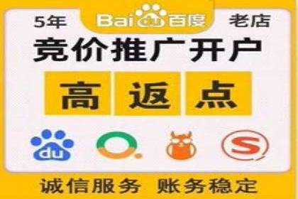百度推广代理的精准营销策略及效果展示
